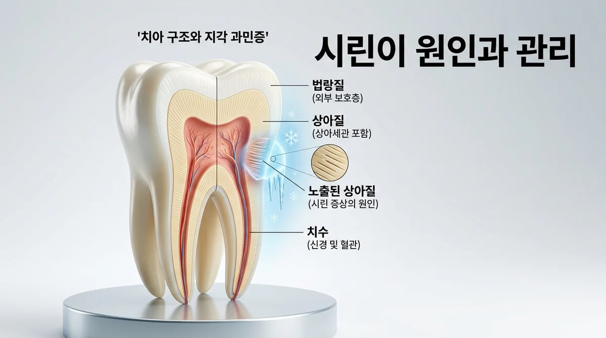 상아질 노출 시린이: 과학적 원인과 효과적인 관리법 5가지