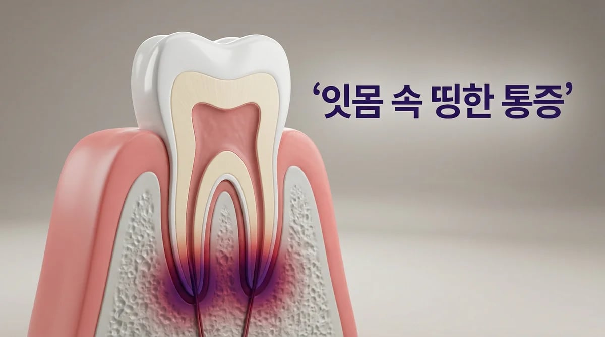 잇몸 속 띵한 통증, 혹시 '이것'? 원인 5가지와 대처법