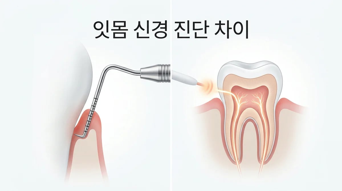 치주낭 검사 vs 치수 생활 검사: 치과 진단 2가지 핵심 차이점 가이드