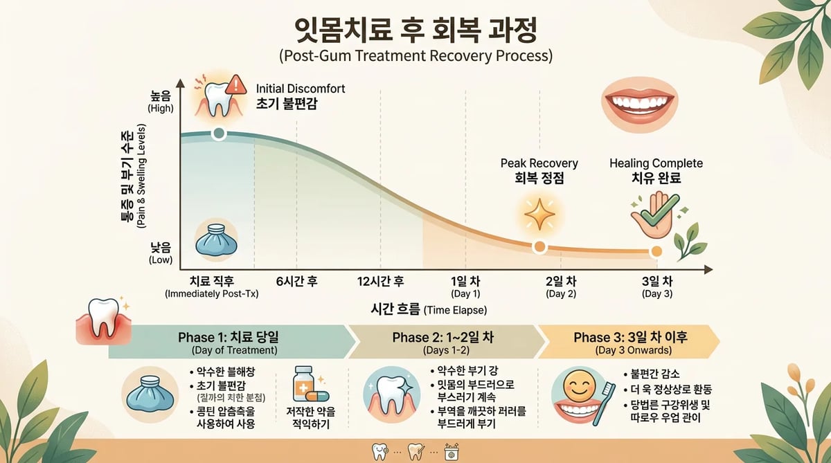 잇몸치료 후 통증 및 붓기 완화 과정 인포그래픽
