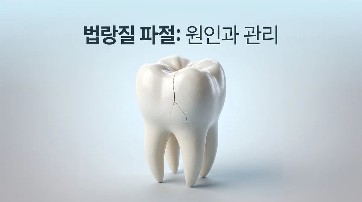 치아 법랑질 파절, 왜 발생할까? 주된 원인과 관리법 가이드