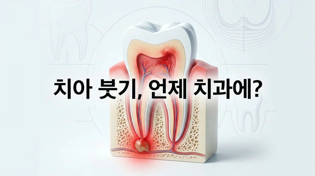 치아 통증 후 붓기, 위험 신호? 치수 괴사·치근단 농양과 치과 방문 시점 5가지
