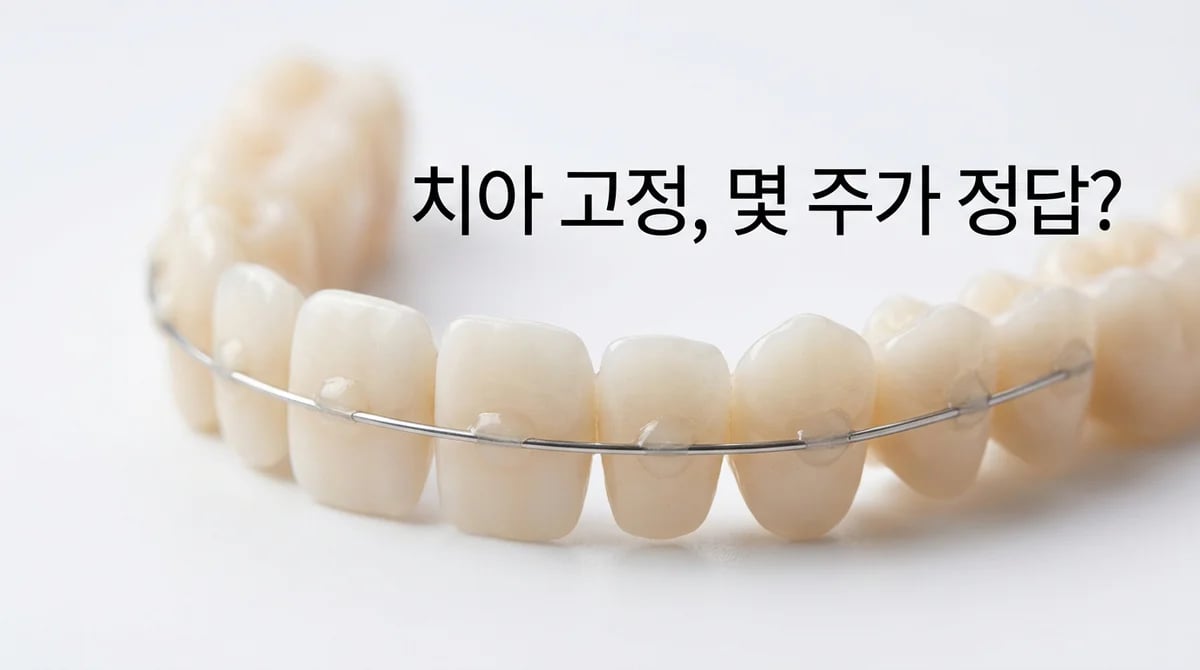 외상 치아 고정 기간, 최적의 회복을 위한 2주의 과학