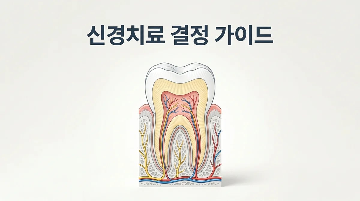 언제 신경치료가 필요할까? 치수염 진단과 치료 결정 가이드