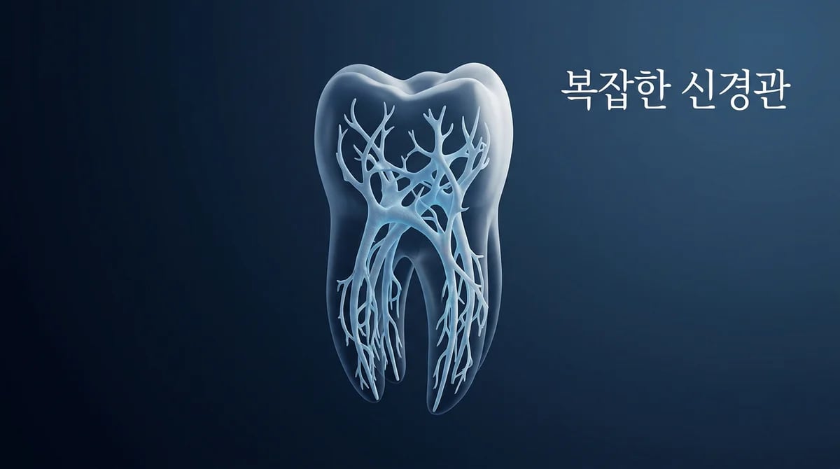 어금니 신경치료 후 통증? 복잡한 신경관 해부학적 변이의 주요 원인