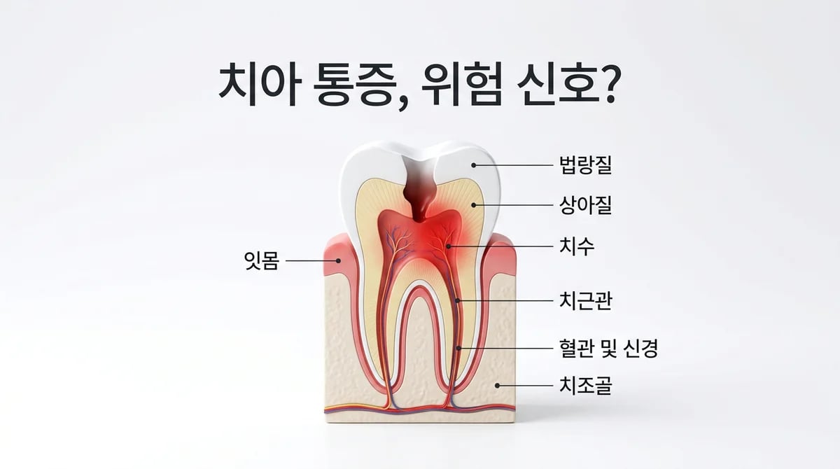 치아 누르면 아픈 충치: 방치 시 문제점 및 해결 가이드
