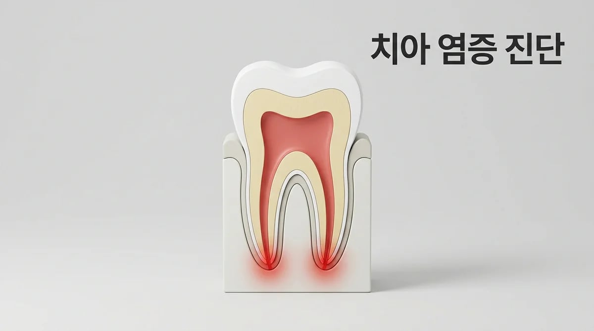 치아 염증 진단 가이드: 증상 파악과 치과 검사 과정