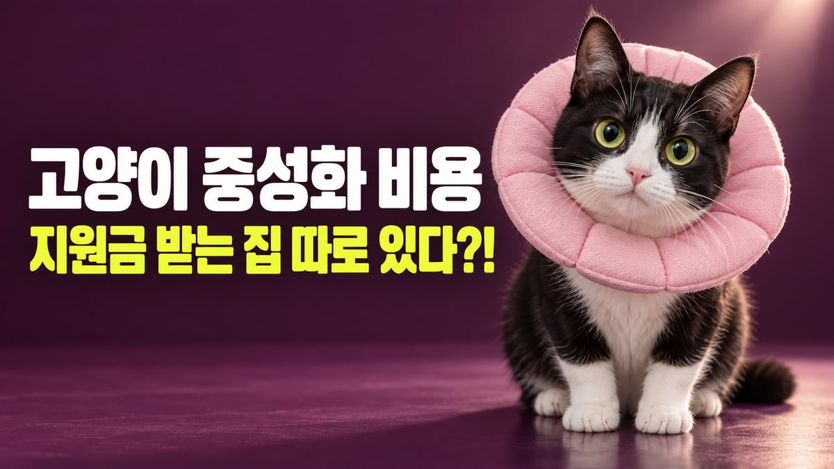 분홍 도넛형 넥카라를 한 턱시도 고양이, 고양이 중성화 비용 지원금 받는 집 따로 있다
