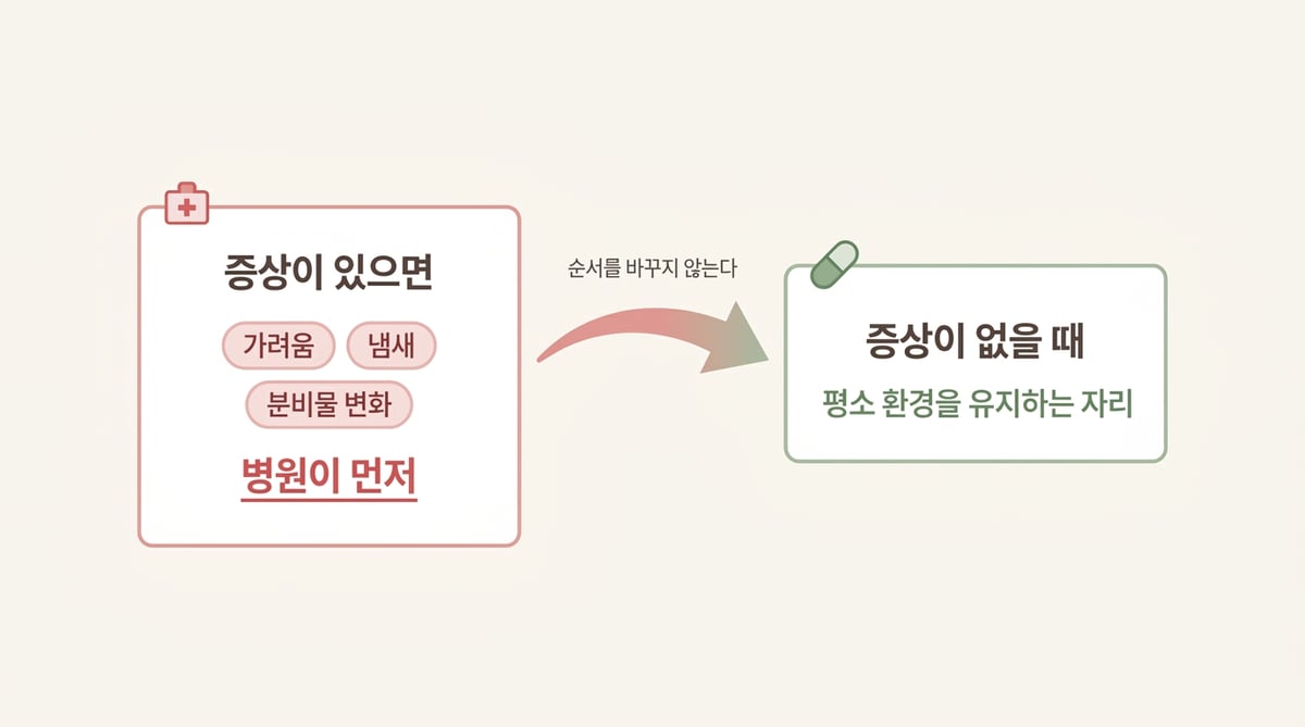 증상이 있을 때와 없을 때의 순서를 정리한 인포그래픽