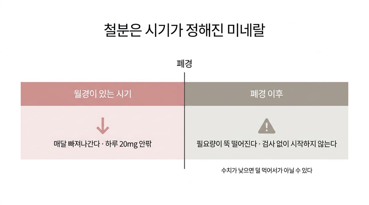 월경기와 폐경 이후 철분 필요량이 어떻게 달라지는지 보여주는 타임라인 인포그래픽