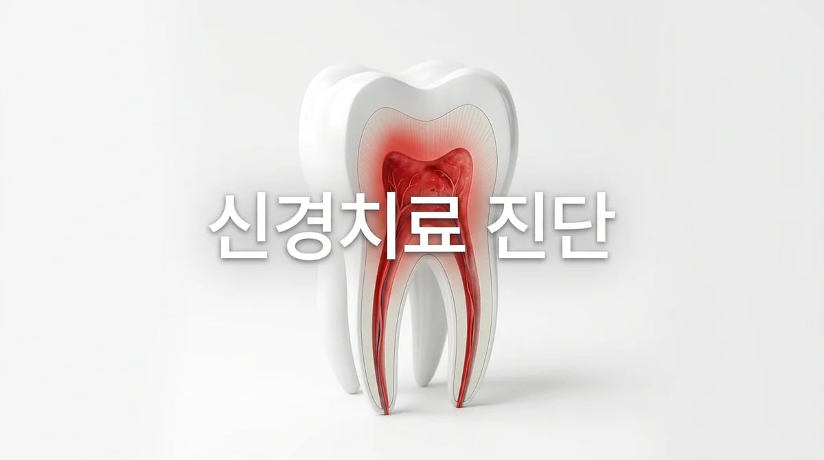 신경치료 필요한 5가지 치아 질환: 증상과 진단명 가이드