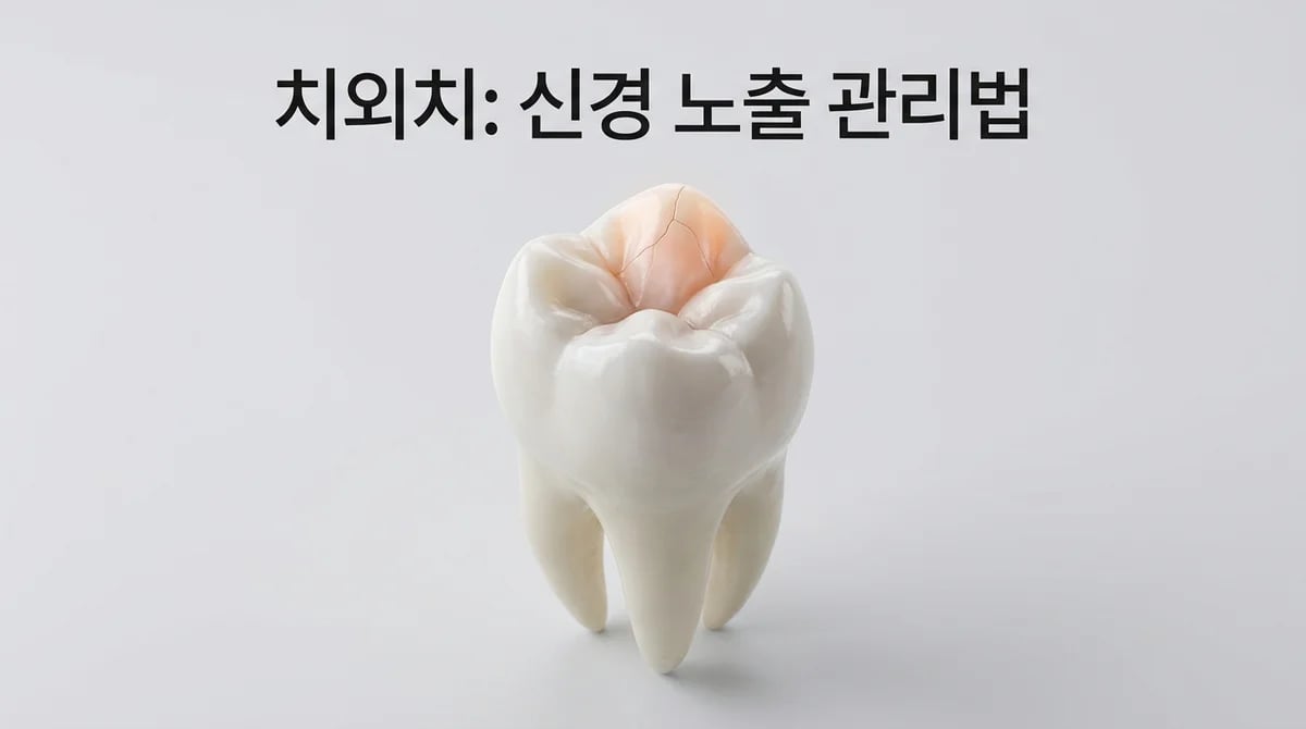 치외치 신경 노출: 치아 뿌리 성장 단계에 따른 현명한 관리법