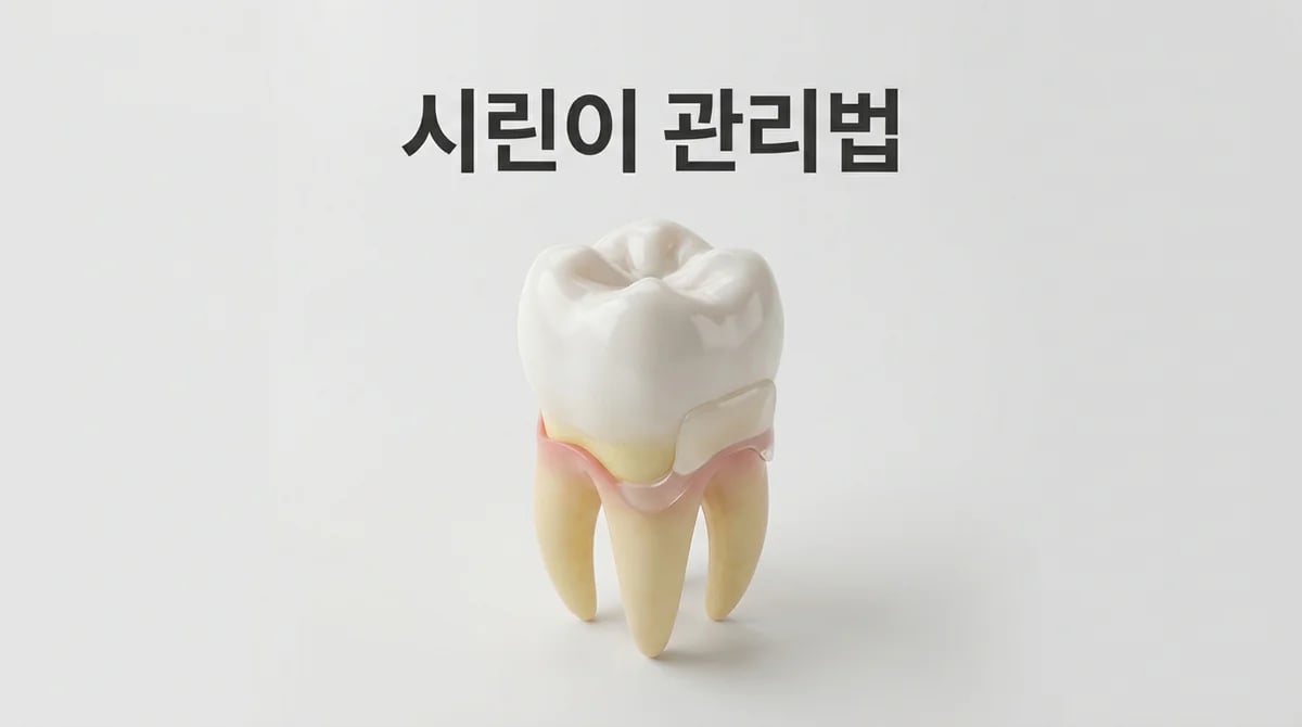 잇몸 퇴축으로 시린 치아, 레진 치료의 원리와 관리 팁