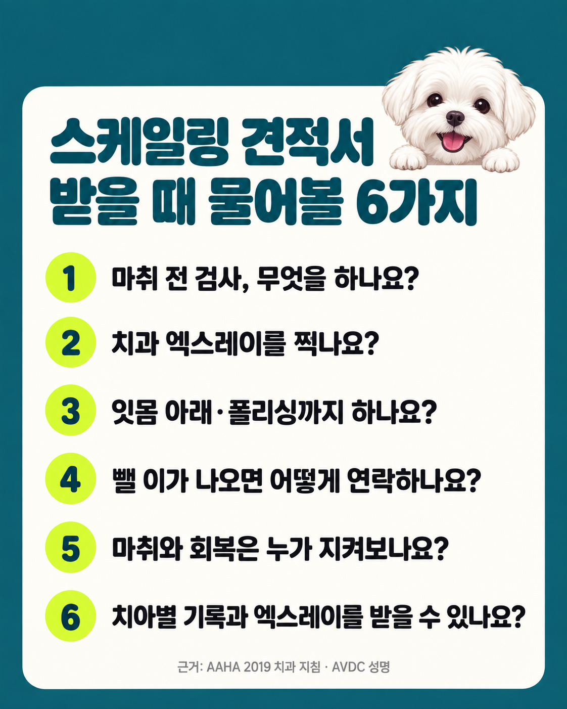 스케일링 견적서 받을 때 물어볼 6가지: 마취 전 검사, 치과 엑스레이, 잇몸 아래·폴리싱, 발치 연락, 마취와 회복 관찰, 치아별 기록과 엑스레이