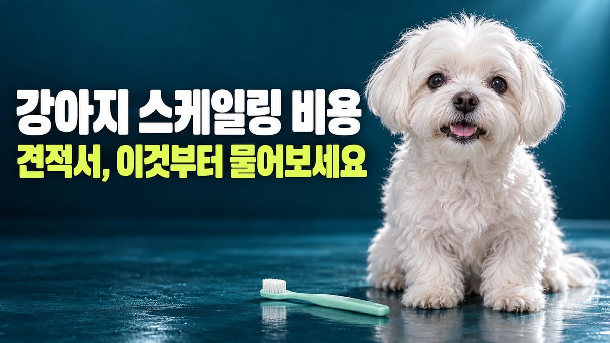 청록 배경에서 입을 살짝 벌린 흰 노견 말티즈와 강아지 칫솔, 강아지 스케일링 비용 견적서 이것부터 물어보세요