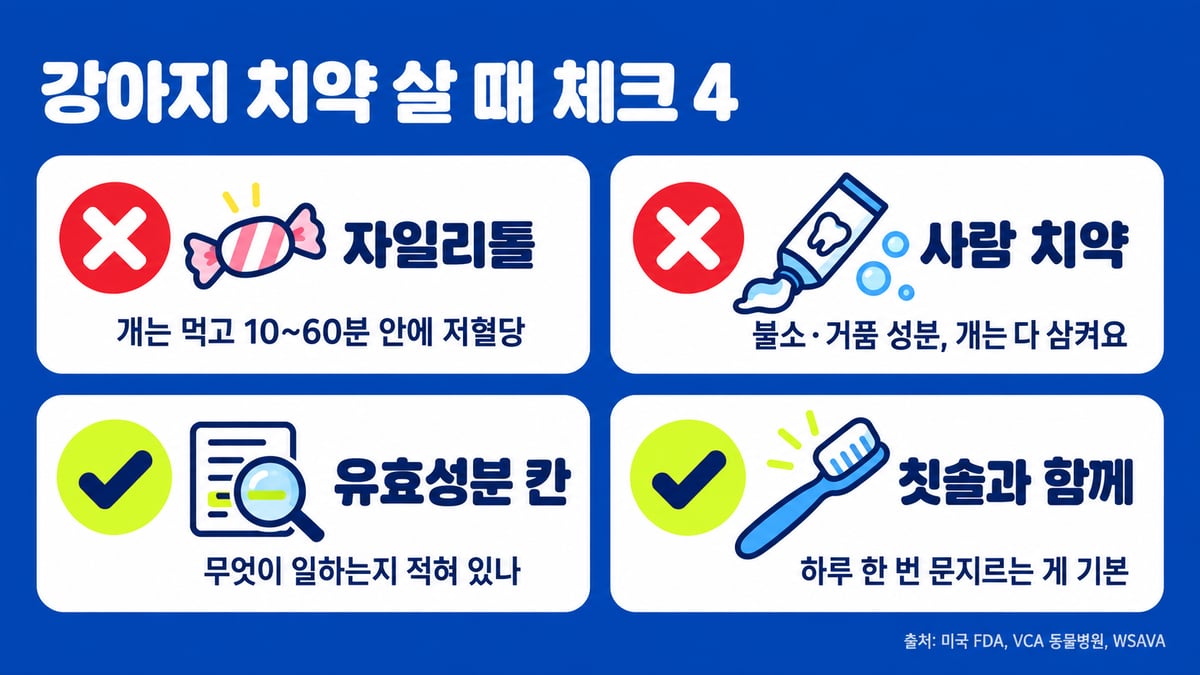 강아지 치약 살 때 체크 4: 자일리톨 안 됨(개는 먹고 10~60분 안에 저혈당), 사람 치약 안 됨(불소·거품 성분), 유효성분 칸 확인, 칫솔과 함께 하루 한 번