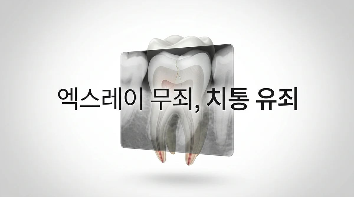 엑스레이 정상인데 치아 통증? 숨겨진 치통 원인 5가지와 진단법