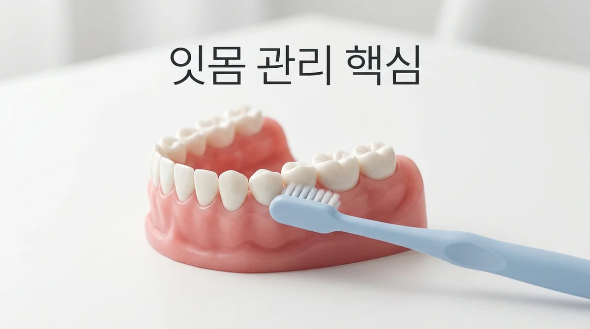 잇몸 건강의 모든 것: 치은염·치주염 예방과 전문 관리법