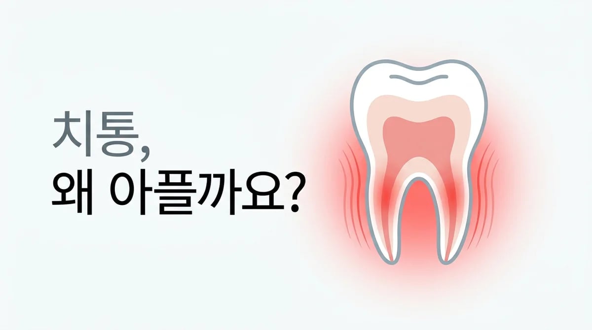 치통의 원인 5가지: 유형별 통증 대처법 상세 가이드