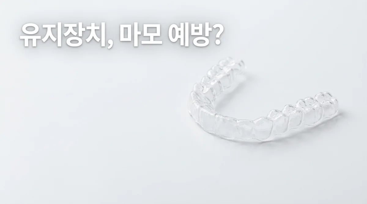 투명 유지장치, 치아 마모와 이갈이 예방에 효과 있을까?