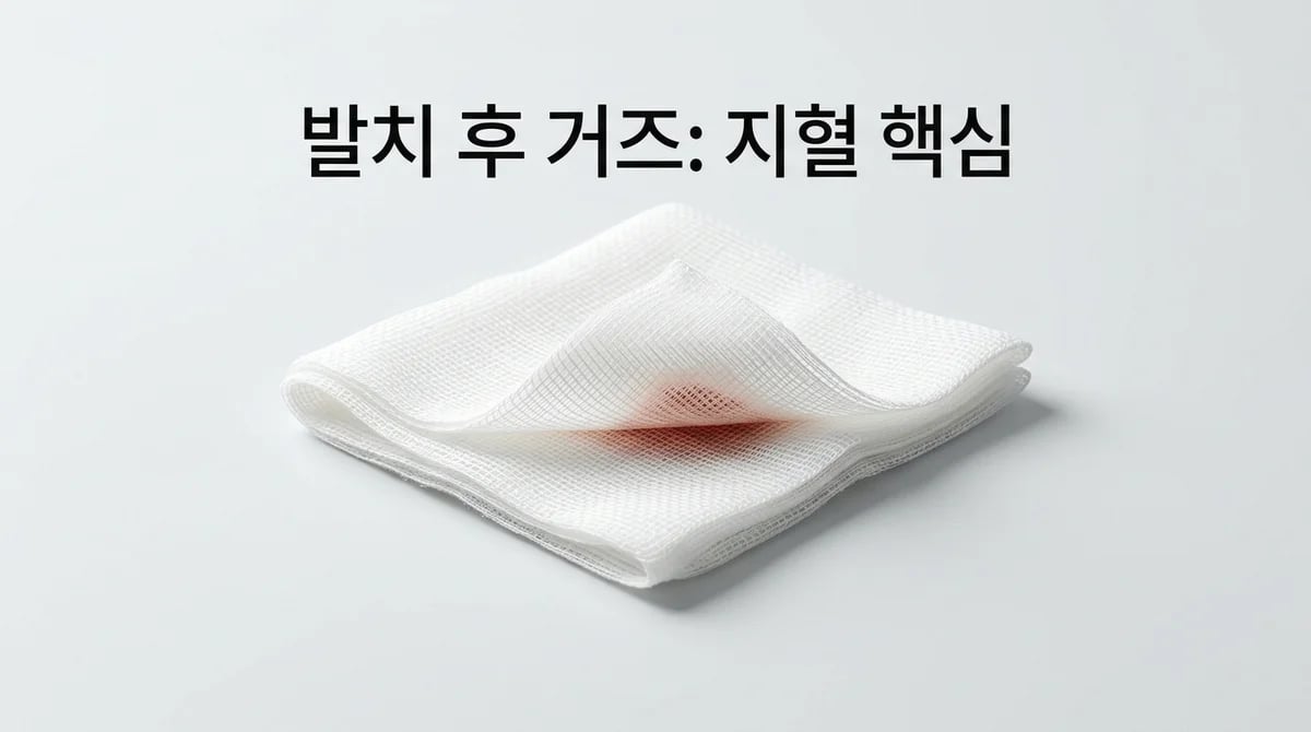 발치 후 올바른 거즈 사용법: 효과적인 지혈과 회복의 핵심