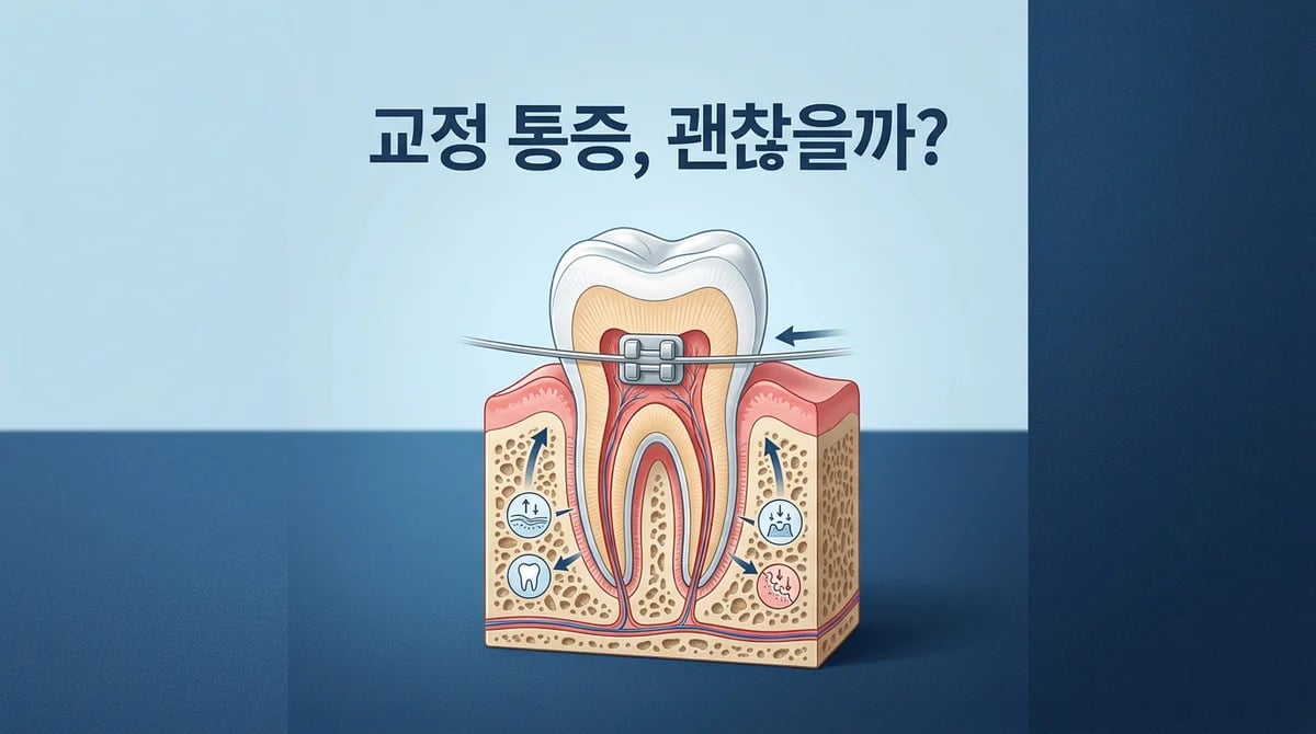 치아교정 중 치주인대 손상 예방: 통증 신호와 건강 관리 팁