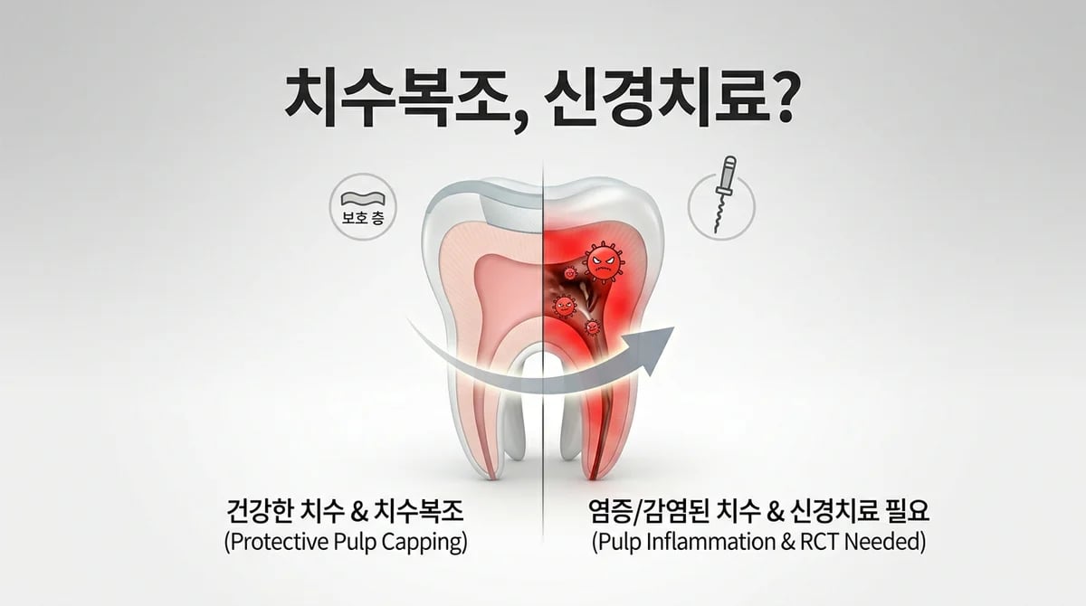 치수복조 후 신경치료, 언제 필요할까요? 통증 신호와 고려사항