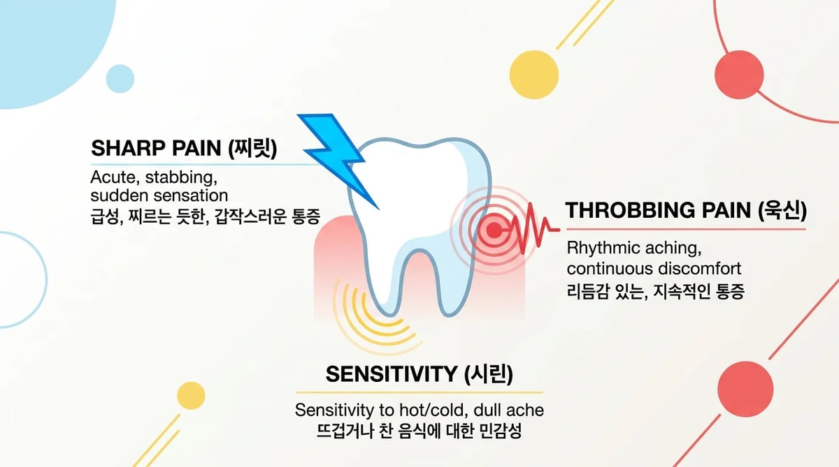 통증 양상별 치통 원인 예측을 위한 일러스트레이션