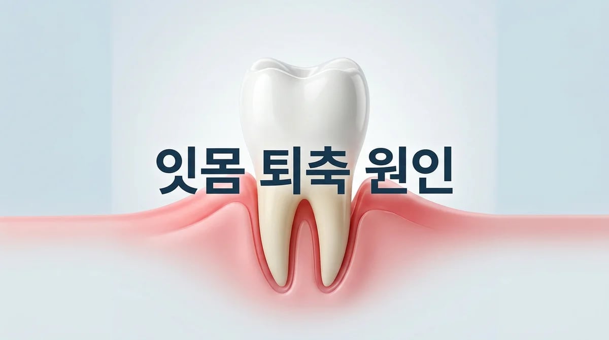 앞니 잇몸 퇴축, 왜 생길까? 주요 원인과 효과적인 예방 정보