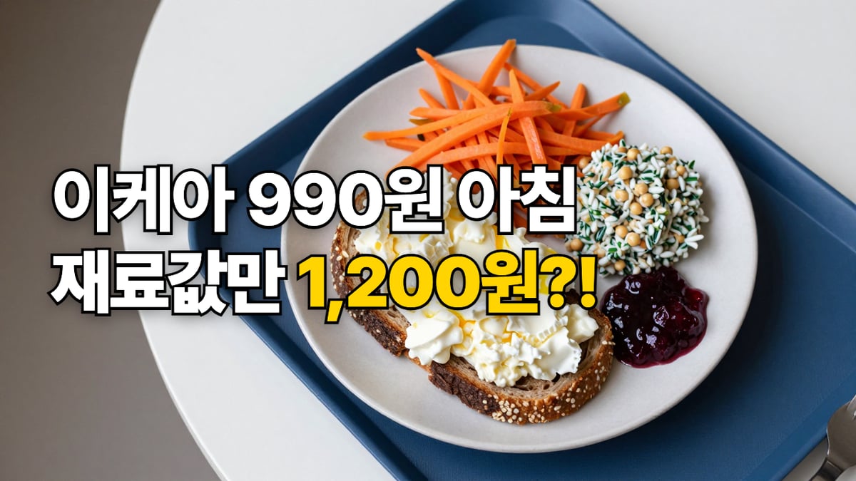 파란 트레이 위 접시에 담긴 호밀빵 흰자 스크램블 오픈 토스트와 당근라페, 곡물 샐러드, 크랜베리잼