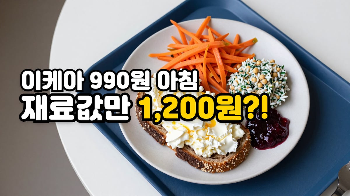 파란 트레이 위 접시에 담긴 호밀빵 흰자 스크램블 오픈 토스트와 당근라페, 곡물 샐러드, 크랜베리잼