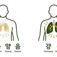폐의 기운 강약에 따른 사상체질 분류 도표