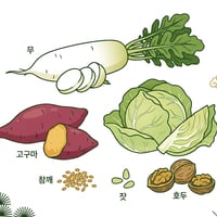 무, 고구마, 양배추, 참깨, 잣, 호두 등 변비에 좋은 한의학적 식재료들이 조화롭게 배열된 모습