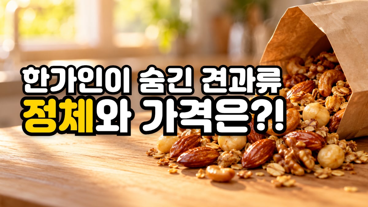 햇살 드는 주방 나무 판 위로 쏟아진 갓 볶은 아몬드·캐슈넛·호두와 귀리