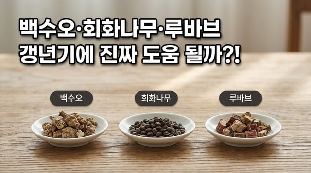 백수오·회화나무열매·루바브뿌리 세 원료를 접시에 담아 나란히 놓은 사진