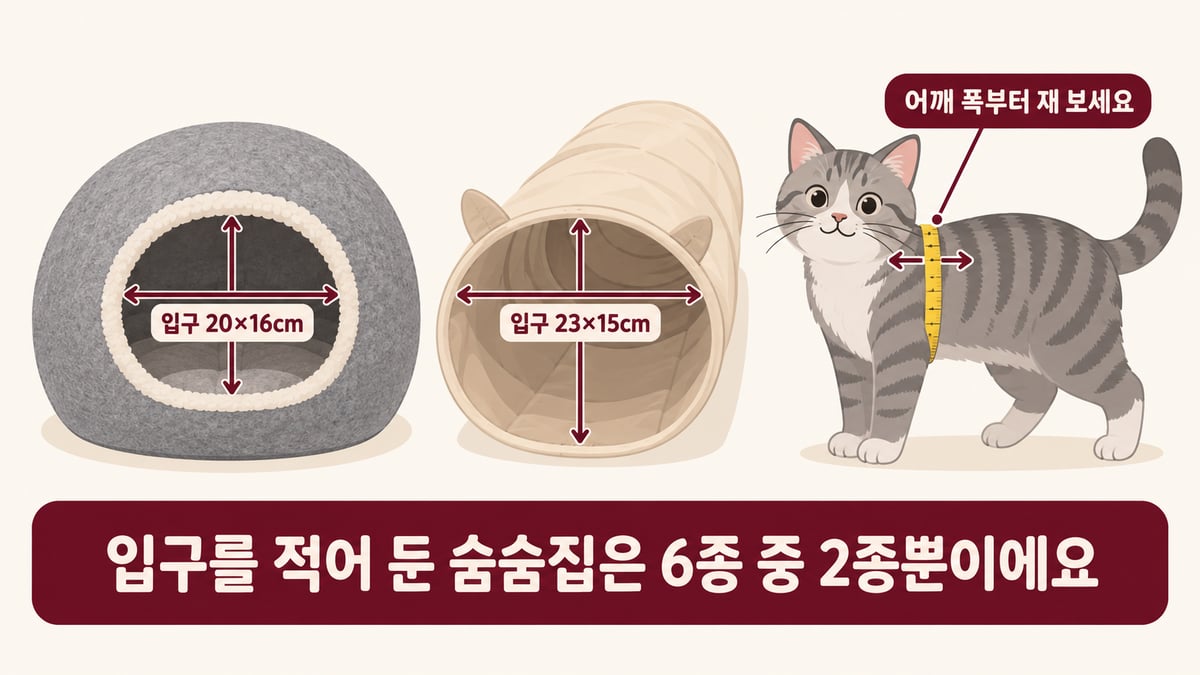 고양이 숨숨집 입구 크기 비교 인포그래픽: 펠트 숨숨집 입구 20×16cm, 터널 입구 23×15cm, 고양이 어깨 폭부터 재 보세요, 입구를 적어 둔 숨숨집은 6종 중 2종뿐