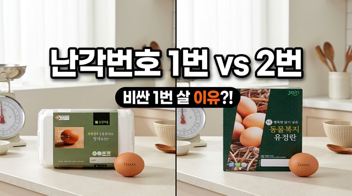 난각번호 1번 계란과 2번 계란 포장을 나란히 놓은 대표 이미지