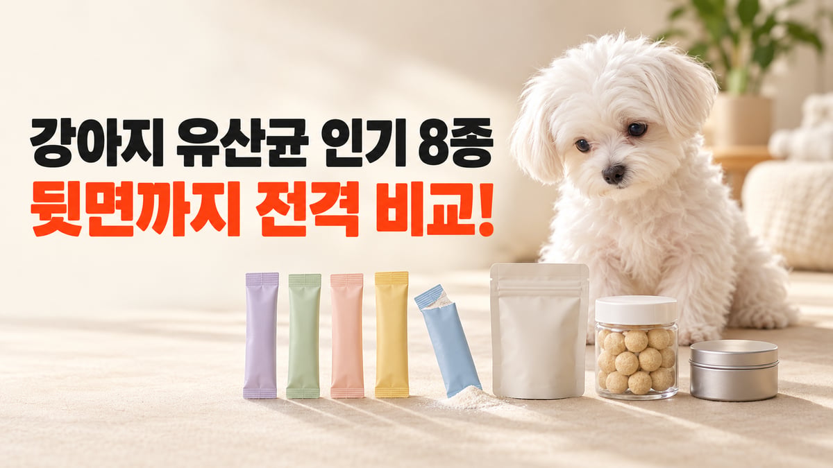 흰 말티즈 강아지 옆에 강아지 유산균 스틱과 트릿 통이 놓인 썸네일, 강아지 유산균 인기 8종 뒷면까지 전격 비교