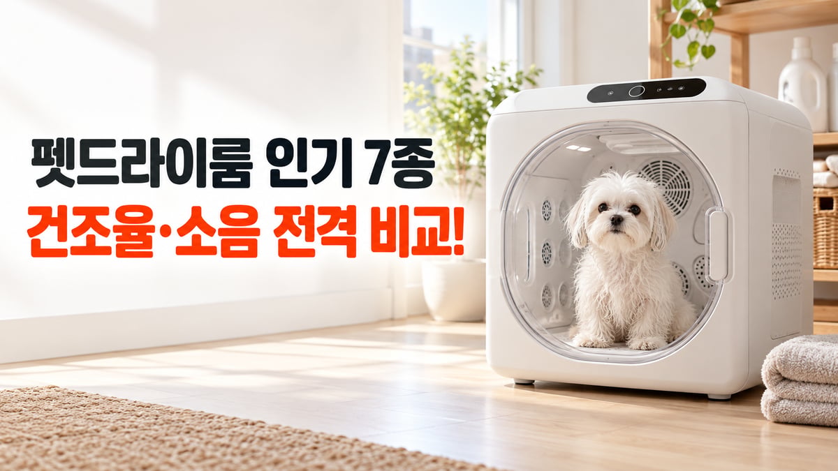 펫드라이룸 안에 흰 말티즈가 앉아 있는 썸네일, 펫드라이룸 인기 7종 건조율·소음 전격 비교