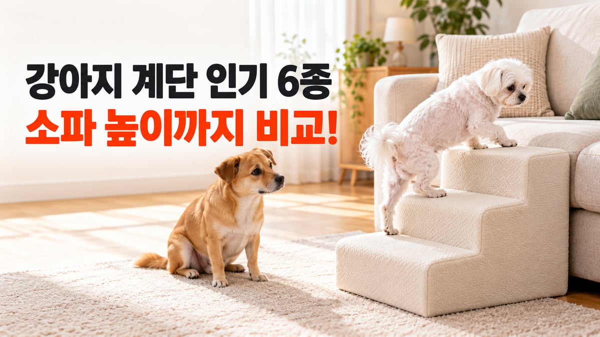 흰 말티즈가 소파 옆 강아지 계단을 오르고 갈색 믹스견이 지켜보는 썸네일, 강아지 계단 인기 6종 소파 높이까지 비교