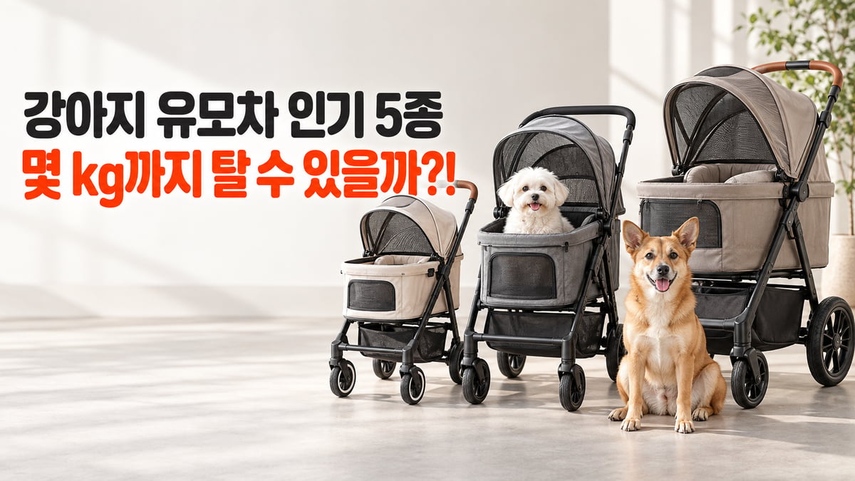 크기가 다른 강아지 유모차 세 대와 말티즈·믹스견, 강아지 유모차 인기 5종 몇 kg까지 탈 수 있을까