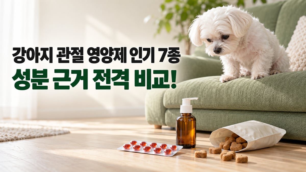 초록 소파 끝에 앉은 흰 말티즈와 바닥의 오메가3 오일·캡슐·츄어블, 강아지 관절 영양제 인기 7종 성분 근거 전격 비교