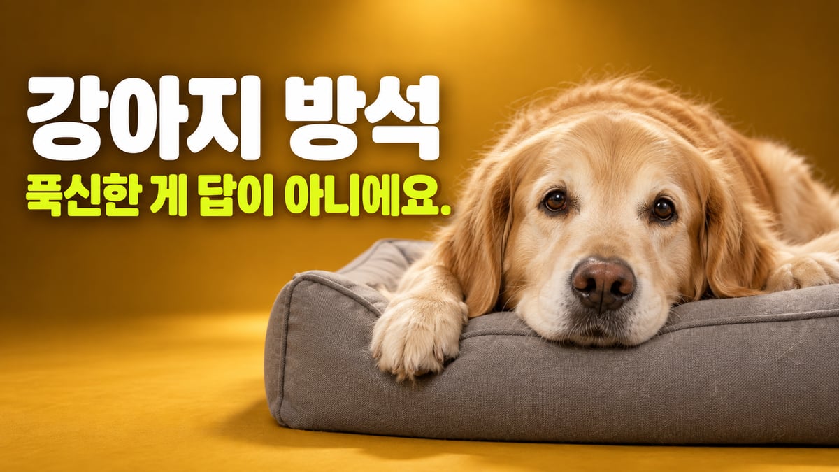 머스터드색 배경에서 골든 리트리버가 회색 방석 테두리에 턱을 괴고 카메라를 보는 썸네일, 강아지 방석 푹신한 게 답이 아니에요