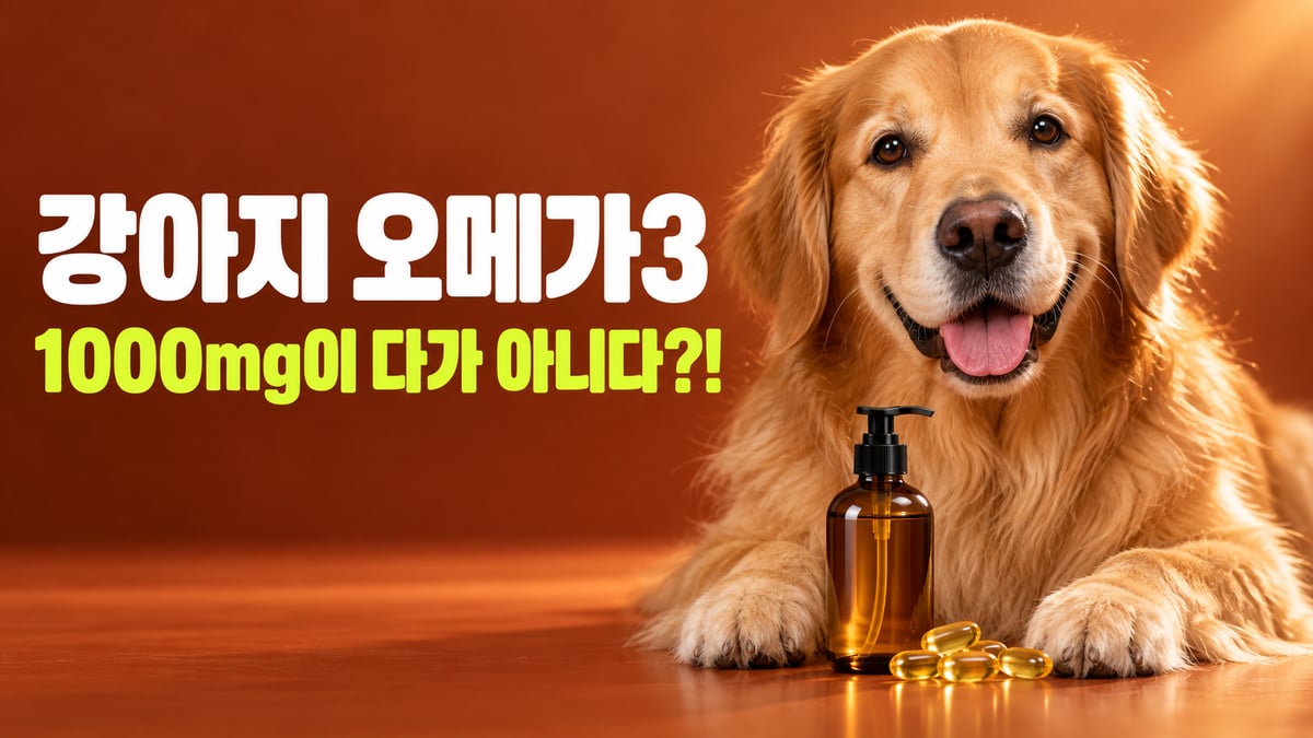 윤기 나는 골든 리트리버 앞에 오메가3 오일 펌프병과 캡슐이 놓인 모습, 강아지 오메가3 1000mg이 다가 아니다