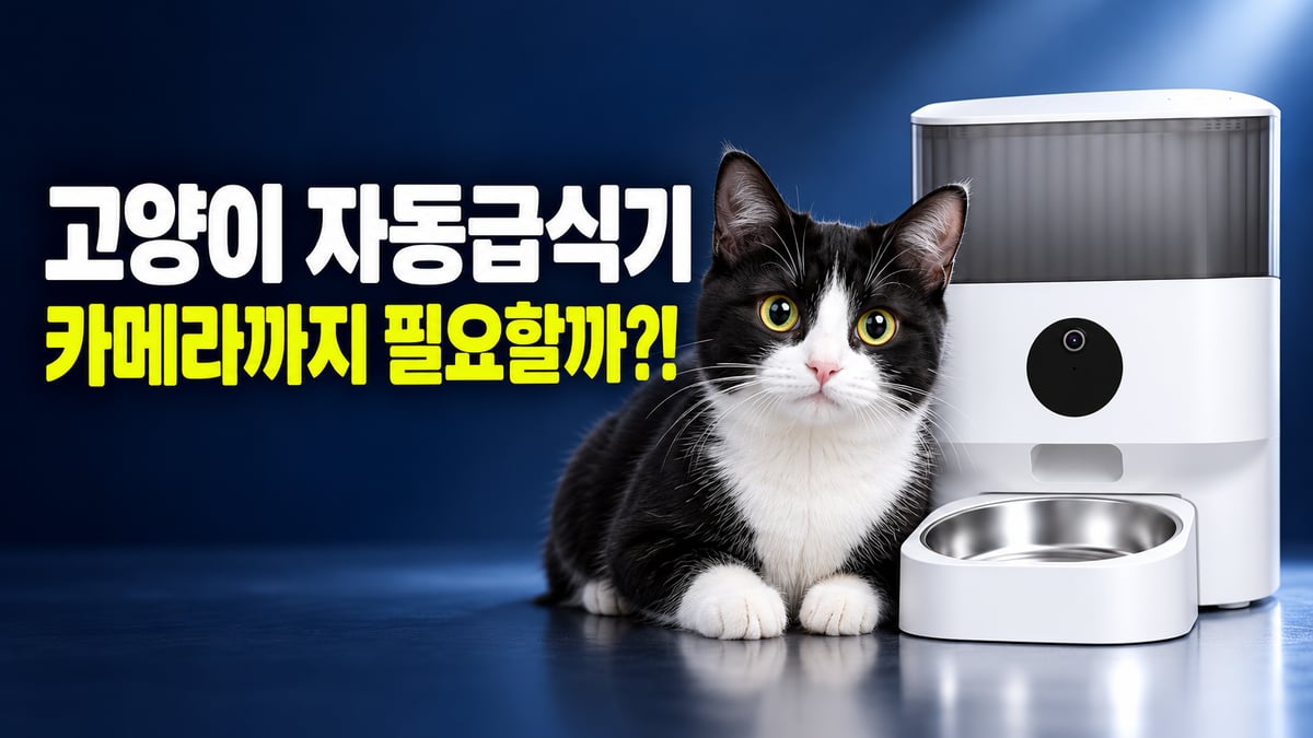 턱시도 고양이가 카메라 달린 흰 자동급식기 옆에 앉아 정면을 보는 모습, 고양이 자동급식기 카메라까지 필요할까