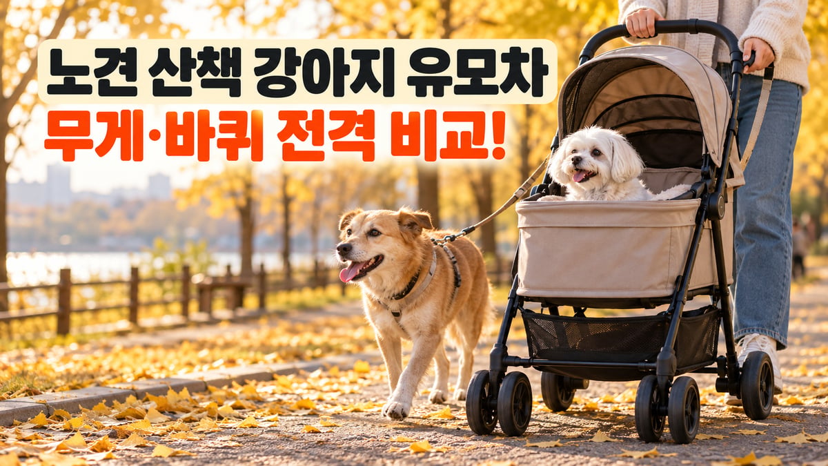 가을 공원에서 말티즈를 태운 강아지 유모차와 옆에서 걷는 믹스견, 노견 산책 강아지 유모차 무게·바퀴 비교