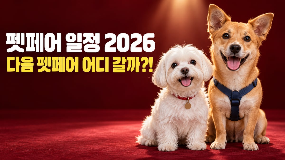 붉은 무대 위에 나란히 앉은 흰 말티즈와 갈색 믹스견, 다음 펫페어 어디 갈까
