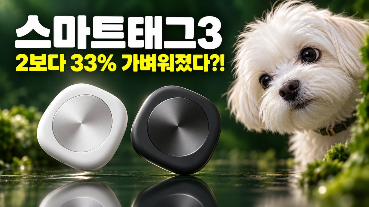 화이트와 블랙 갤럭시 스마트태그3 두 개와 옆에서 들여다보는 흰 말티즈, 스마트태그3 2보다 33% 가벼워졌다