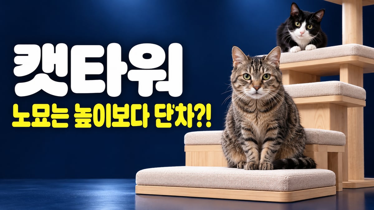 네이비 배경 낮은 계단식 캣타워 아래 칸에 앉은 고등어 태비 노묘와 위 칸의 턱시도 고양이, 캣타워 노묘는 높이보다 단차