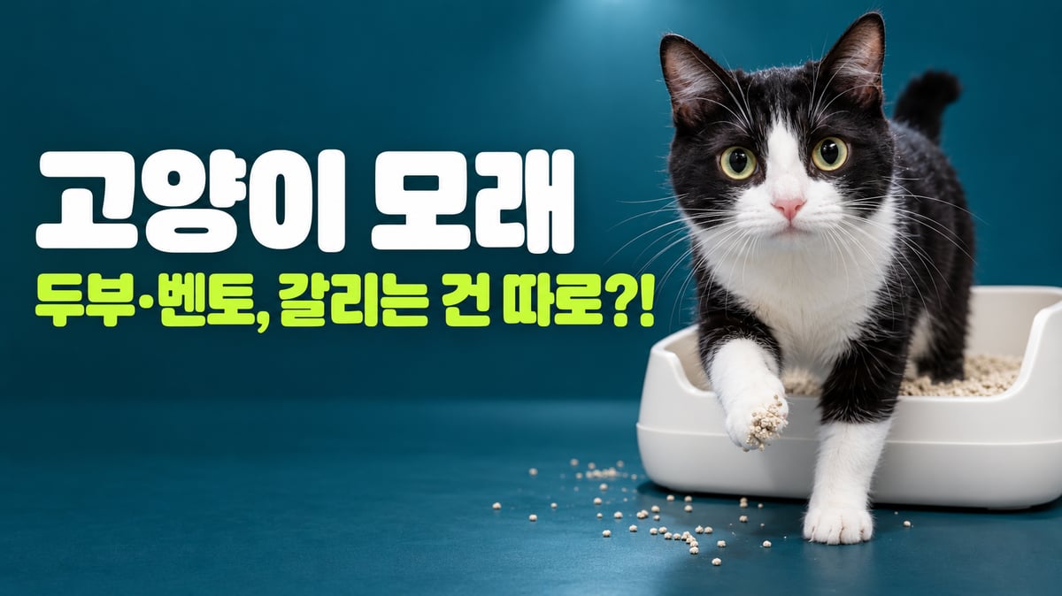 턱시도 고양이가 고양이 화장실에서 나오며 앞발에 모래가 묻어 바닥에 흩어진 모습, 두부모래와 벤토나이트 모래 비교